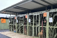 Maubert Fontaine : Inauguration du nouveau refuge SPA des Ardennes 