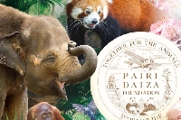 Cette semaine sur Radio 8 on vous invite à Pairi Daiza !