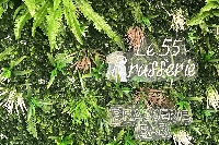 Sedan : une nouvelle brasserie « Le 55 Brasserie » s’apprête à ouvrir place de la Gare