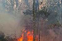 Ardennes : Feu de forêt à Monthermé : l’incendie fixé, maintien des mesures de sécurité