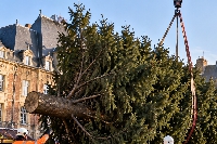 Ardennes :  Marché de Noël de Charleville : le sapin arrive place Ducale ce lundi 