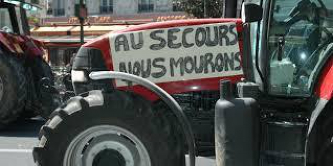 Ardennes : Mobilisation des éleveurs ce samedi pour défendre leur filière viande