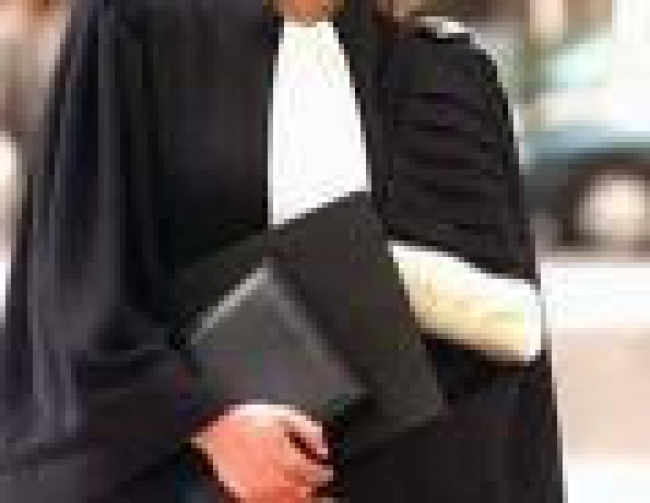 Une femme de 70 ans condamnée à 4 mois de prison avec sursis pour avoir élevé et vendu des chiens sans autorisation