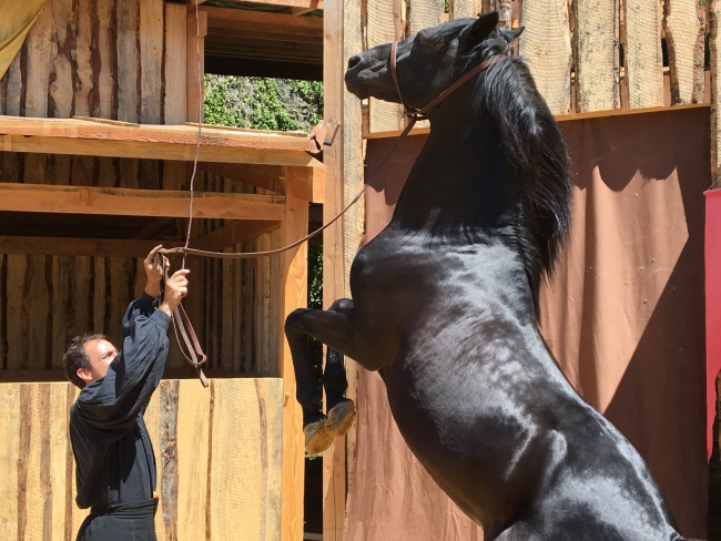 Le spectacle " sans peur et sanglier " de retour cet été au château fort de Sedan ! 
