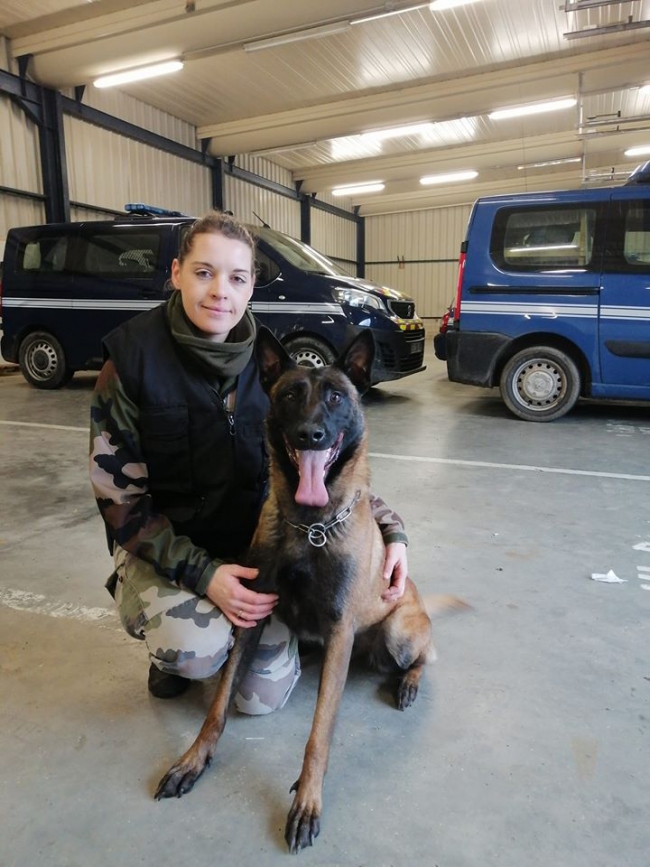 Immersion au sein de la Gendarmerie Nationale : Rencontre avec le Gendarme Delphine André et son chien Muse, l'équipe cynophile de Sedan