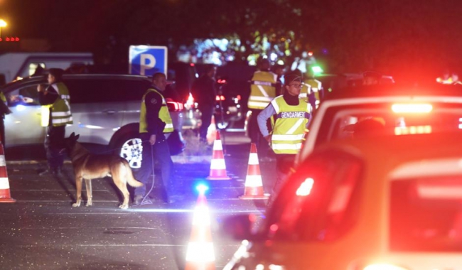Immersion au sein de la Brigade Cynophile de Sedan : Le Gendarme Delphine André et son chien Muse en opération de contrôle