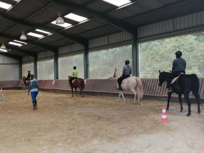 Mouzon : La réhabilitation des jeunes en rupture grâce à la médiation animale et à l'équitation au CER Mustang