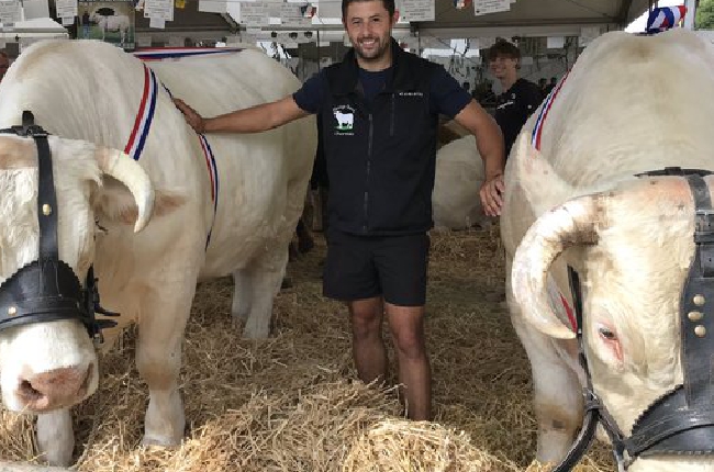 Concours Général Agricole : Pas de médaille pour Olympe et Reine, les Charolaises de Romain et Dominique Barré, mais un top 5 honorable pour chacune d’elles