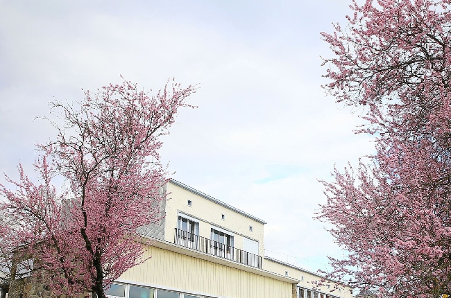 Charleville-Mézières  :  l'école Mozart saccagée     
