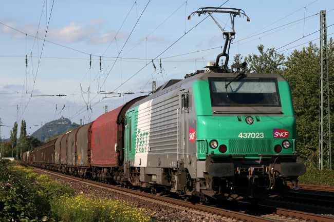 Pouru-St-Rémy : un jeune homme fauché par un train au passage à niveau 