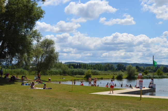 Présence de cyanobactéries confirmée dans le Lac de Sedan, la baignade totalement suspendue