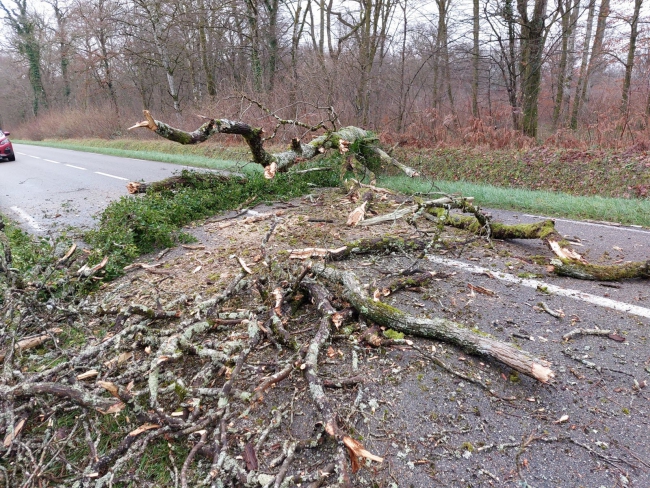 Intempéries liées à la tempête Benjamin, une vingtaine d'interventions des secours