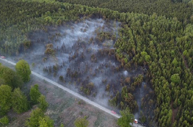 Intervention massive contre un feu de forêt aux Hautes-Rivières
