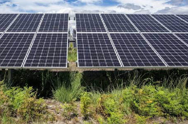 Installation d’un parc photovoltaïque sur la zone de Pargny 