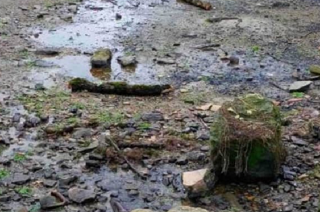 Ardennes : la sécheresse menace les rivières et bouleverse la biodiversité