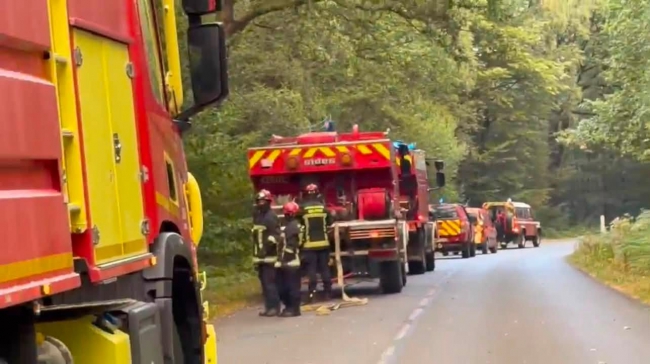 Ardennes : Bilan du feu de forêt de ce week-end  à Monthermé