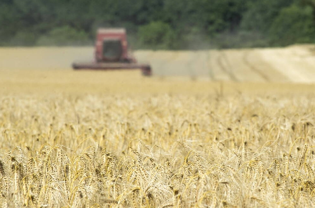 Ardennes: Canicule et sécheresse : 1,37 million d'euros débloqués pour soutenir les agriculteurs ardennais 