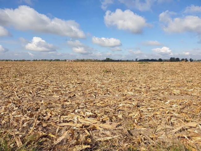 Sécheresse : l'État renforce son soutien aux agriculteurs Ardennais